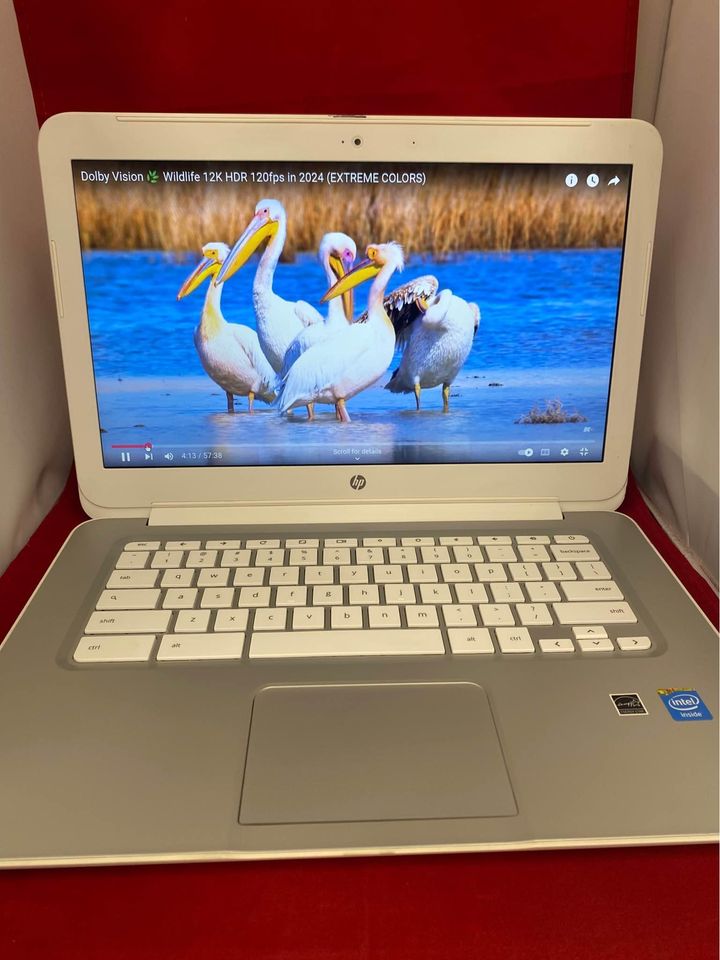 Hp Chromebook 14" | Wifi | Bluetooth | Camera | HDMI Port