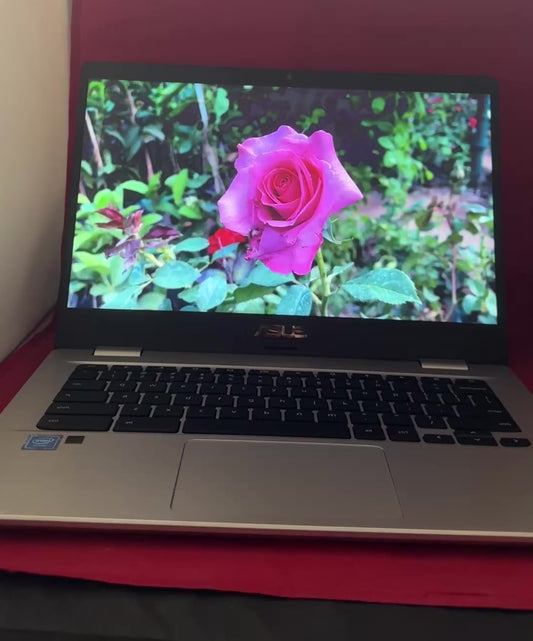 ASUS Chromebook C423NA-DH02 32GB eMMC / 4GB RAM